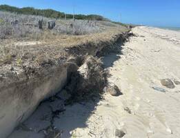 Image min scarp collapse 2023