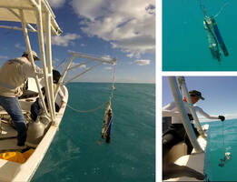 Image min fig 02 ocse